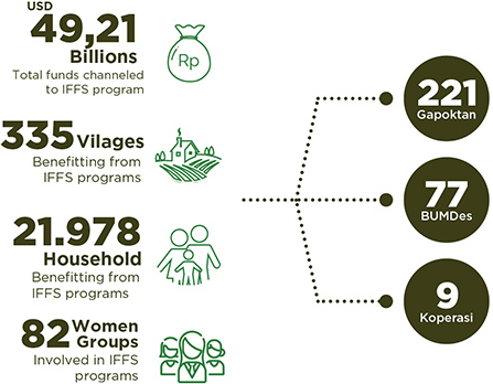 iffs program implementation progress